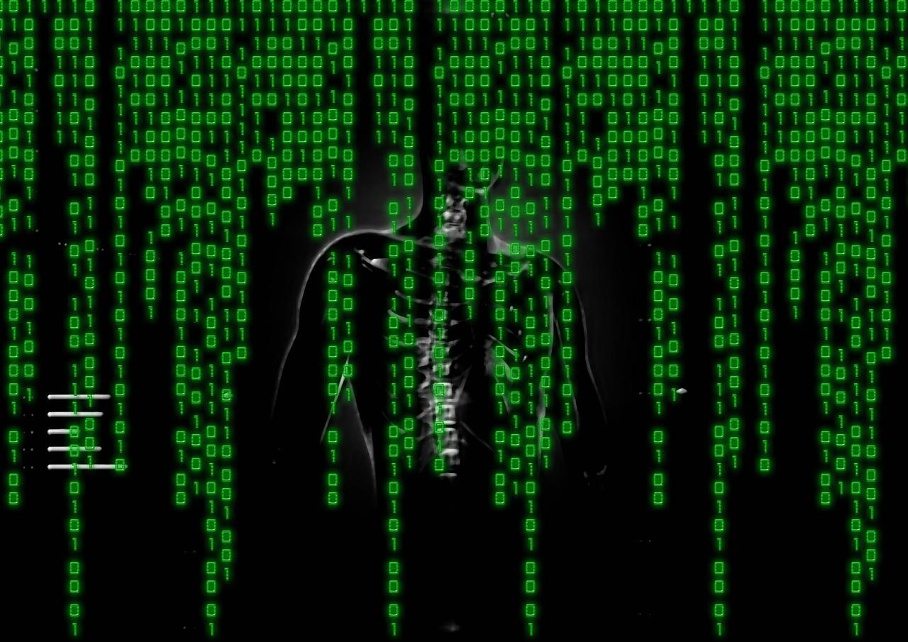 Le marché informatique, un marché d’élites où il n’y a pas de place pour les moyens