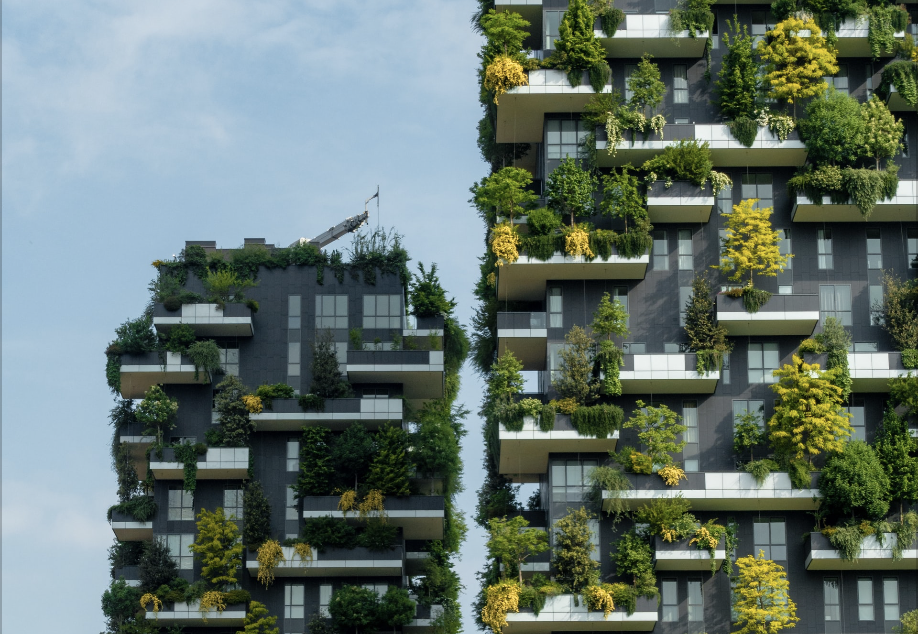 Le professioni “green”: tra lavoro e rispetto dell’ambiente