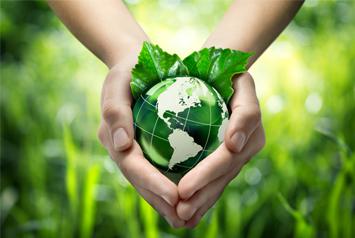 Travailler dans l'écologie : quels sont les métiers de l'environnement ?