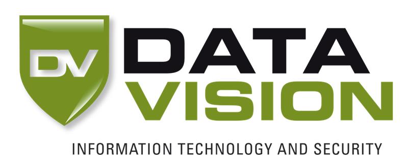 Data Vision srl Logo