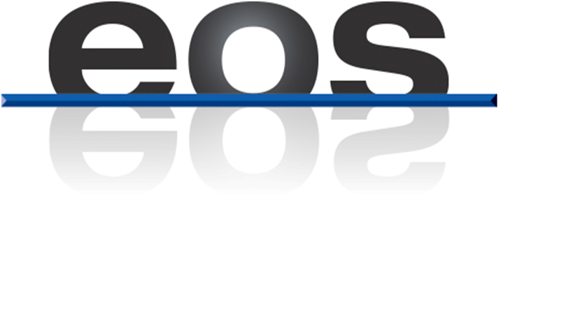 Enterprise Organization and Solutions S.r.l. Logo