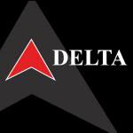 Delta Computer Consulting