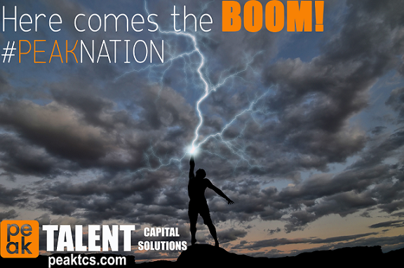 Peak Employment Solutions LLC