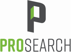 Pro Search Inc.