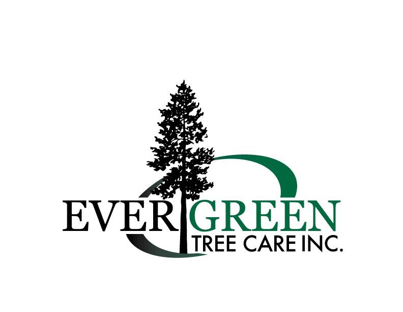 Evergreen Tree Care