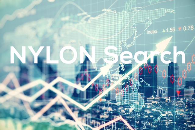 NYLON Search LLC