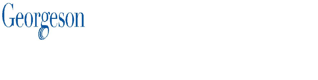 GEORGESON SRL Logo