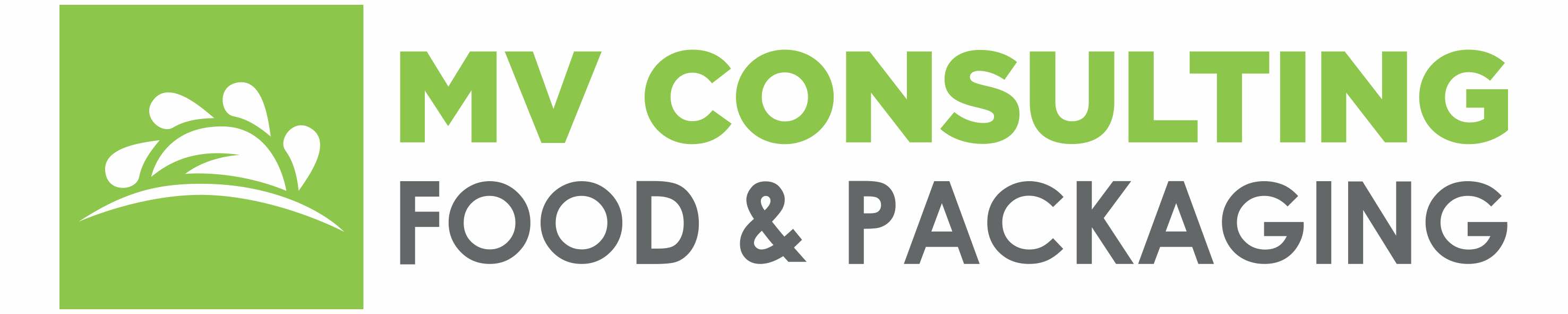 MV CONSULTING SRL Logo