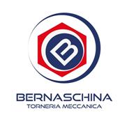 Bernaschina srl Logo