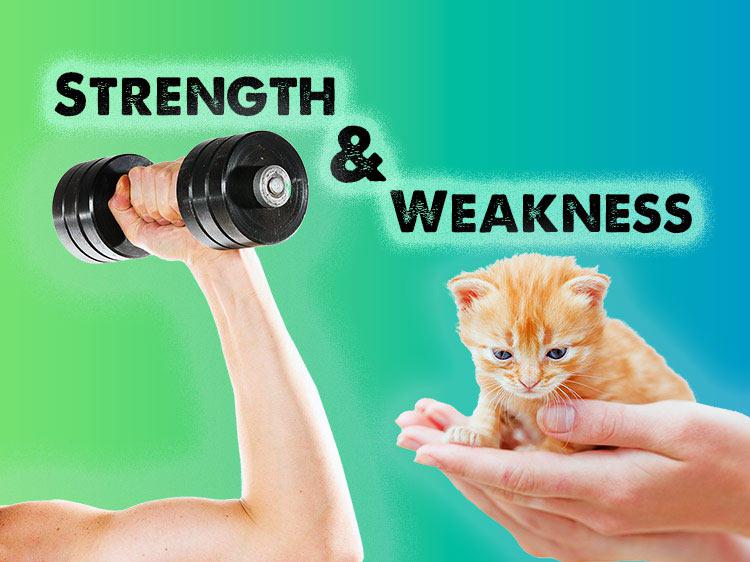 strengths weakness in interview