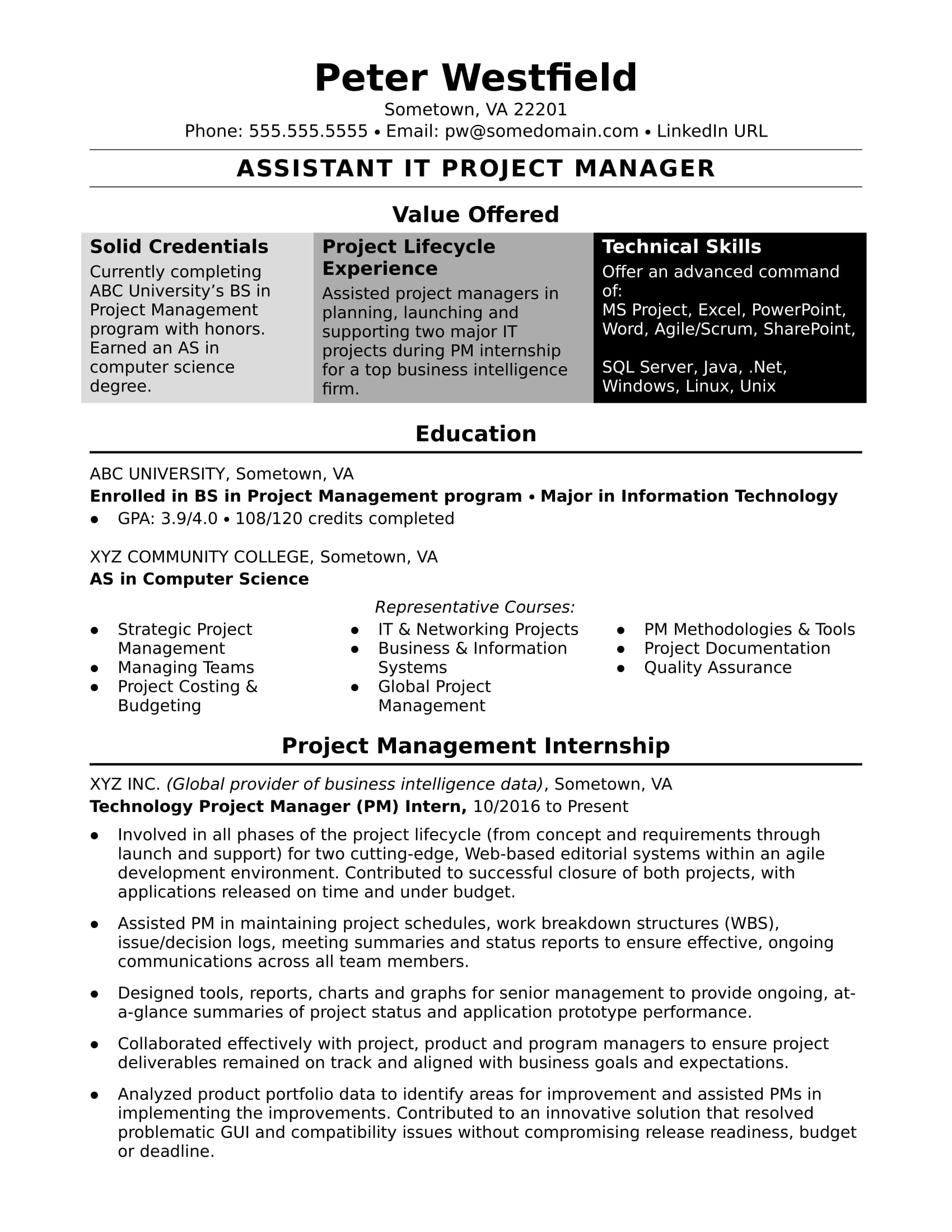 Sample Resume For An Assistant It Project Manager Monster Com
