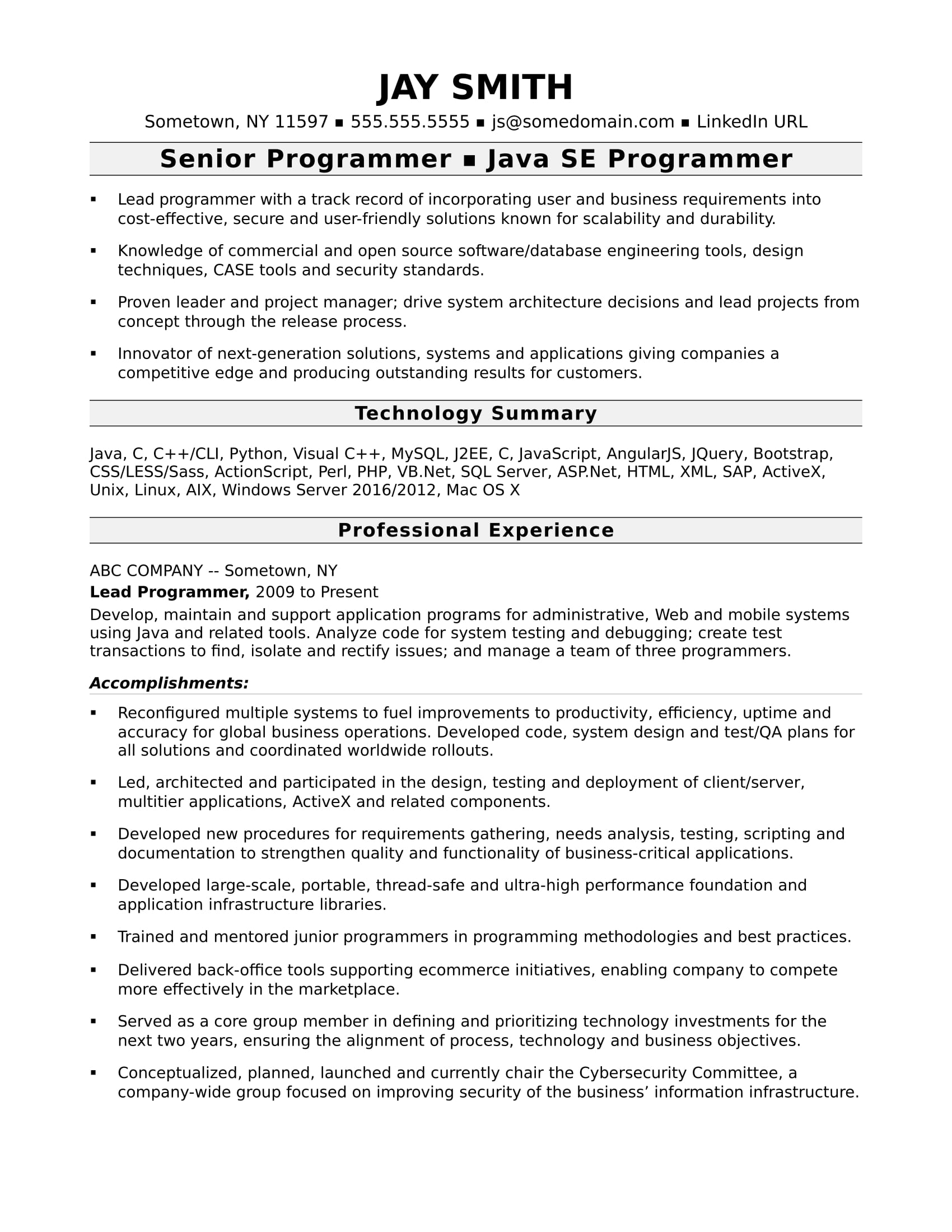 Programmer Resume Template  Monster.com