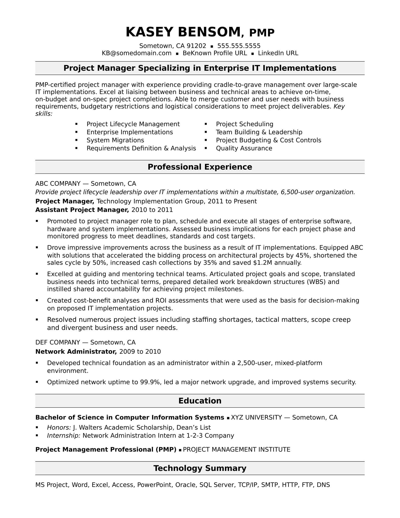 professional summary in resume for it company